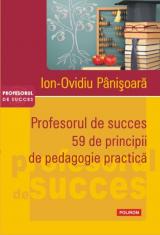 Profesorul de succes 