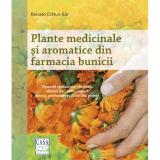 Plante medicinale și aromatice din farmacia bunicii 