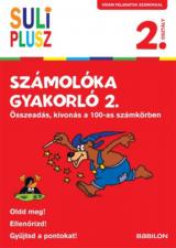 Számolóka gyakorló 2. 