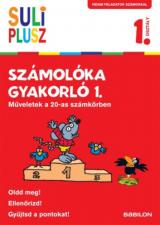 Számolóka gyakorló 1. 