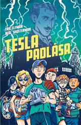 Telsa padlása