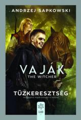 Vaják V. - The Witcher 