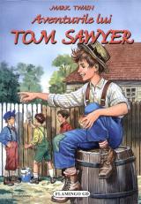 Aventurile lui Tom Sawyer 