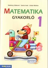 Matematika gyakorló 1. 